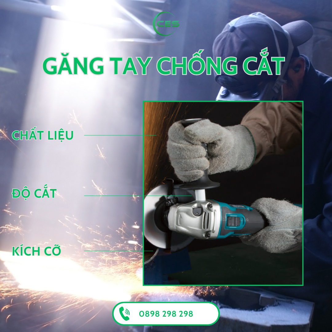 gang tay chong cat